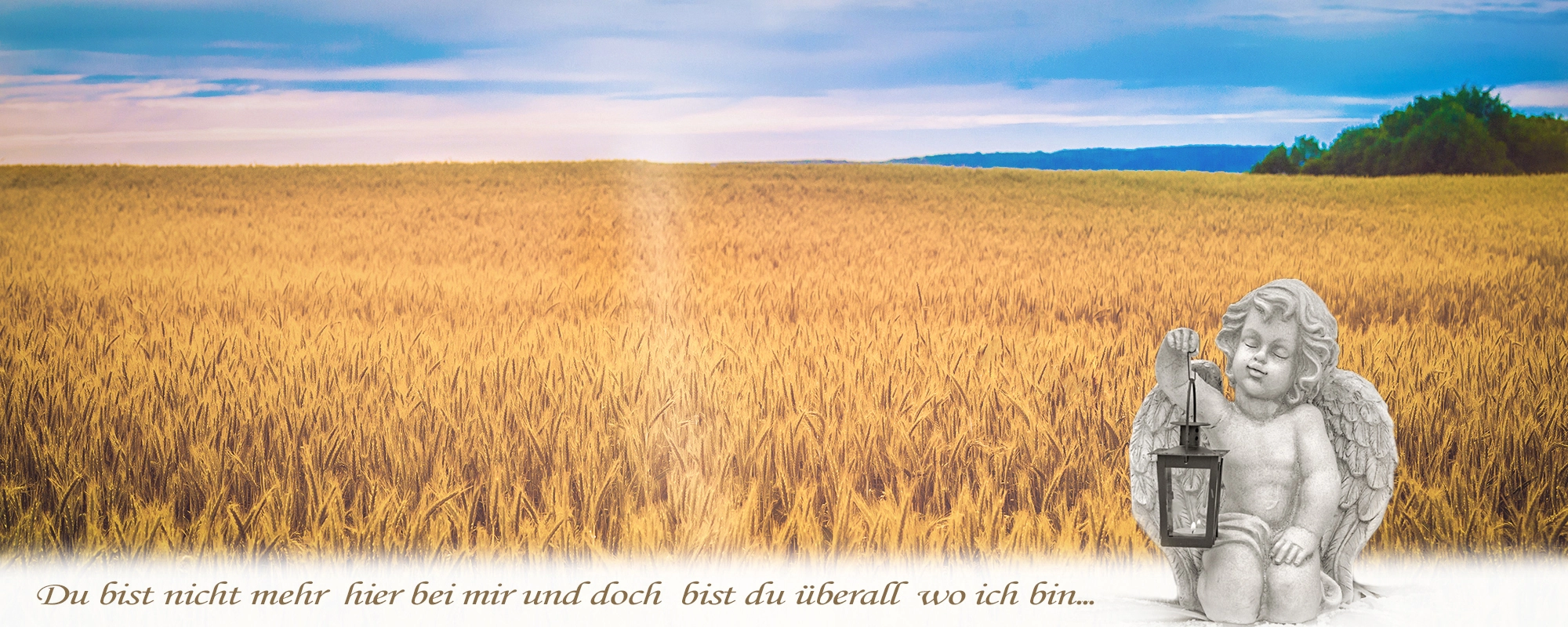 Eine Engelsskulptur mit Laterne steht am Rand eines goldenen Kornfeldes unter einem weiten Himmel, symbolisierend Trost und Gedenken. Bestattungsfotografie von Michael Schalansky.